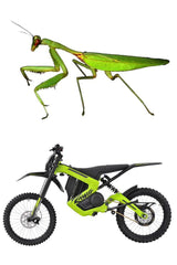 48V 25Ah Rawrr Mantis Mini