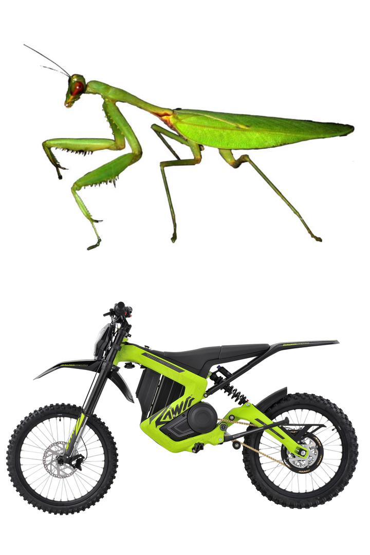 48V 25Ah Rawrr Mantis Mini